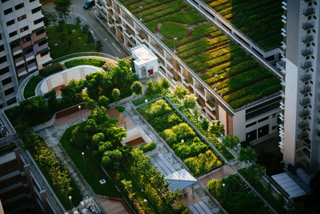 Sustainable Housing Solutions
